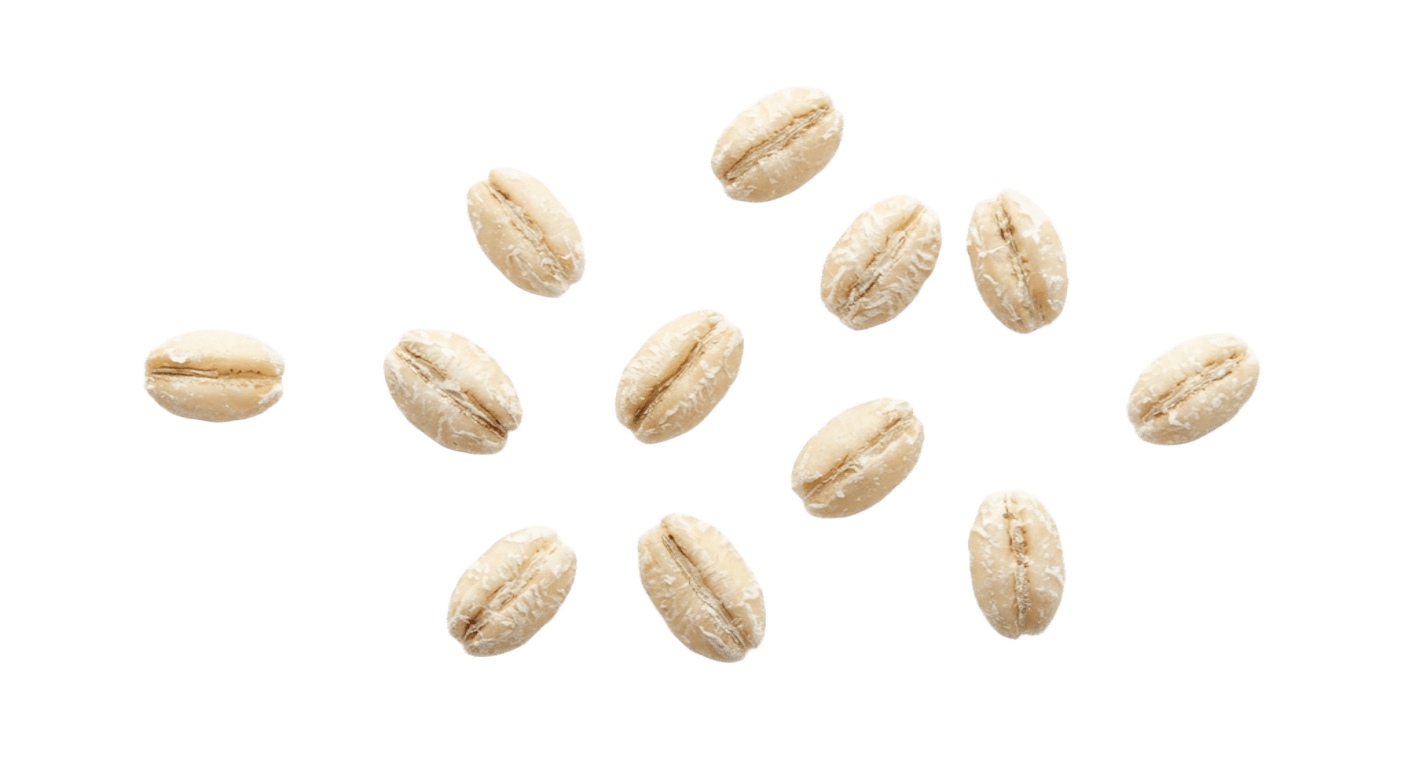 Перловка